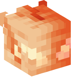 Minecraft head — Creatures