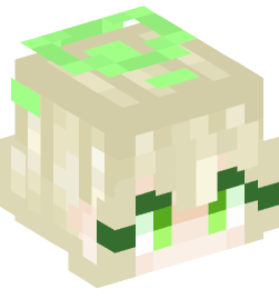 Minecraft head — People