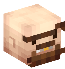 Minecraft head — People