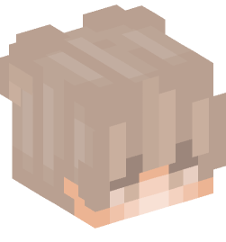 Minecraft head — People