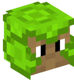 Minecraft head — Monsters