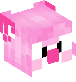 Minecraft head — People