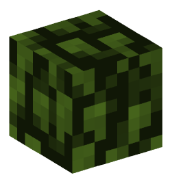 Minecraft head — Plants