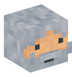 Minecraft head — People