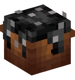 Minecraft head — Food and drink