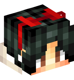 Minecraft head — People