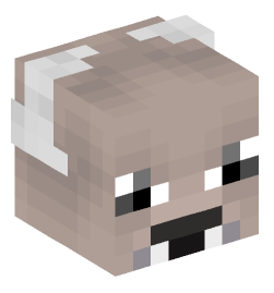 Minecraft head — Monsters