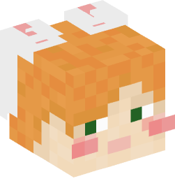 Minecraft head — People