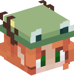 Minecraft head — People