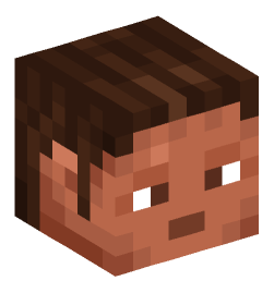 Minecraft head — People