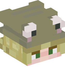 Minecraft head — People