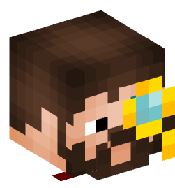 Minecraft head — People