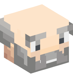 Minecraft head — People