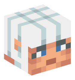 Minecraft head — People