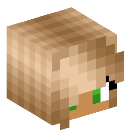 Minecraft head — People