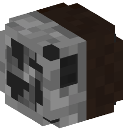 Minecraft head — Decor