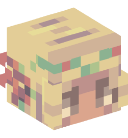 Minecraft head — People