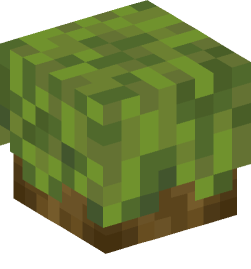 Minecraft head — Plants