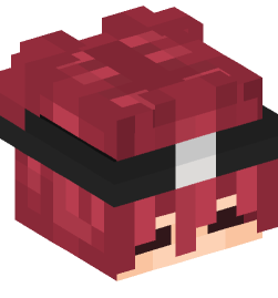 Minecraft head — People