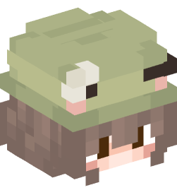 Minecraft head — People