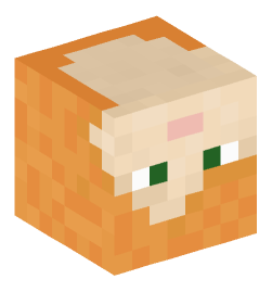 Minecraft head — People