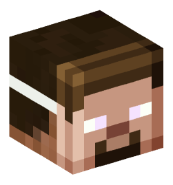 Minecraft head — People