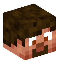 Minecraft head — People