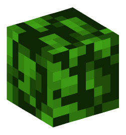 Minecraft head — Plants