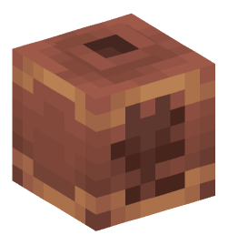 Minecraft head — Decor