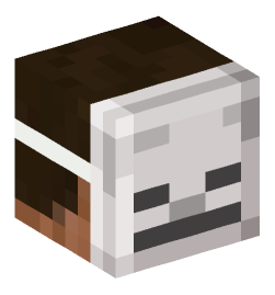 Minecraft head — People