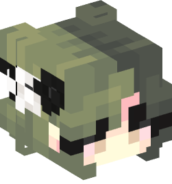 Minecraft head — People