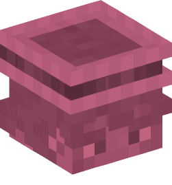 Minecraft head — Decor