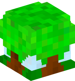 Minecraft head — Decor