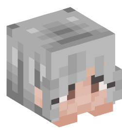 Minecraft head — People