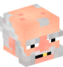 Minecraft head — People