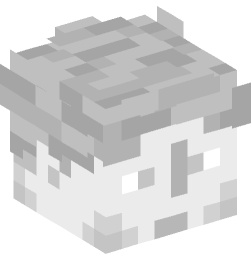 Minecraft head — Decor