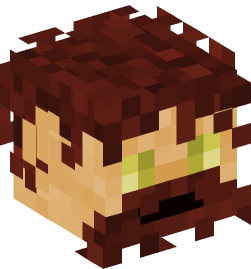 Minecraft head — People