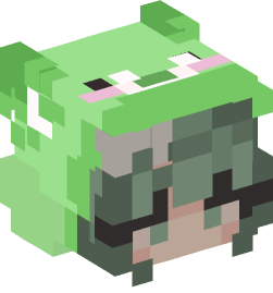 Minecraft head — People