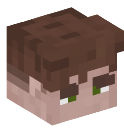 Minecraft head — People