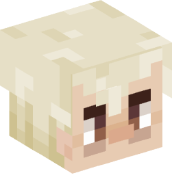 Minecraft head — People