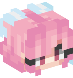 Minecraft head — People