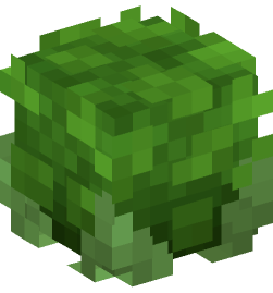 Minecraft head — Plants