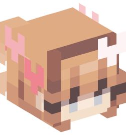 Minecraft head — People