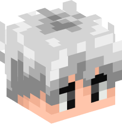 Minecraft head — People