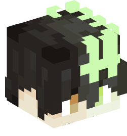 Minecraft head — People