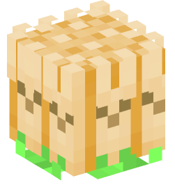 Minecraft head — Food and drink