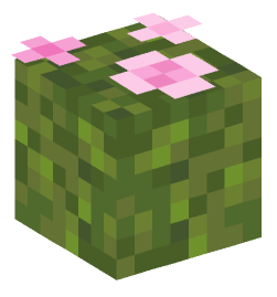 Minecraft head — Plants