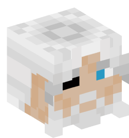 Minecraft head — People