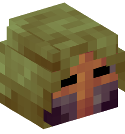 Minecraft head — People