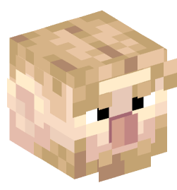 Minecraft head — People